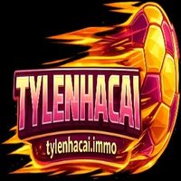 tylenhacaischol