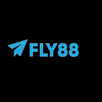 fly888snet