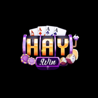 haywin2026com