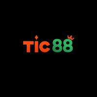 tic88my
