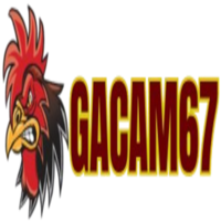 gacam67snet11