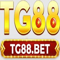 tg88inc