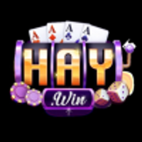 Haywin4com